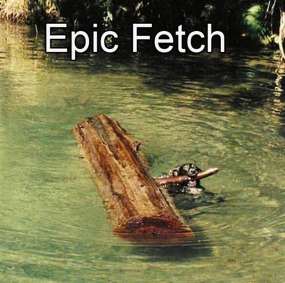 epic fetch.jpg