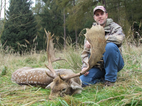 Fallow 2 (600 x 450).jpg