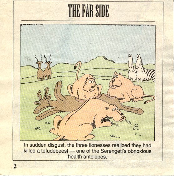 FarSide.jpg