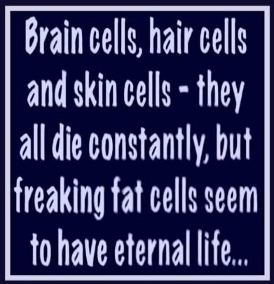 fat_cells.jpg