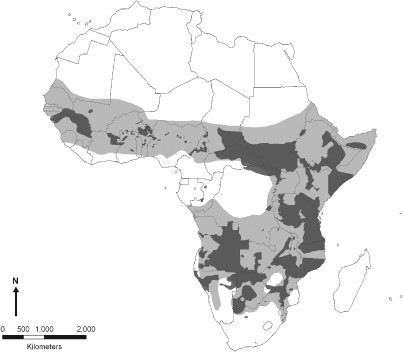 Figure-1-Distribution-map-of-spotted-hyaena-light-grey-and-lion-dark-grey-Most-lion.png.jpeg