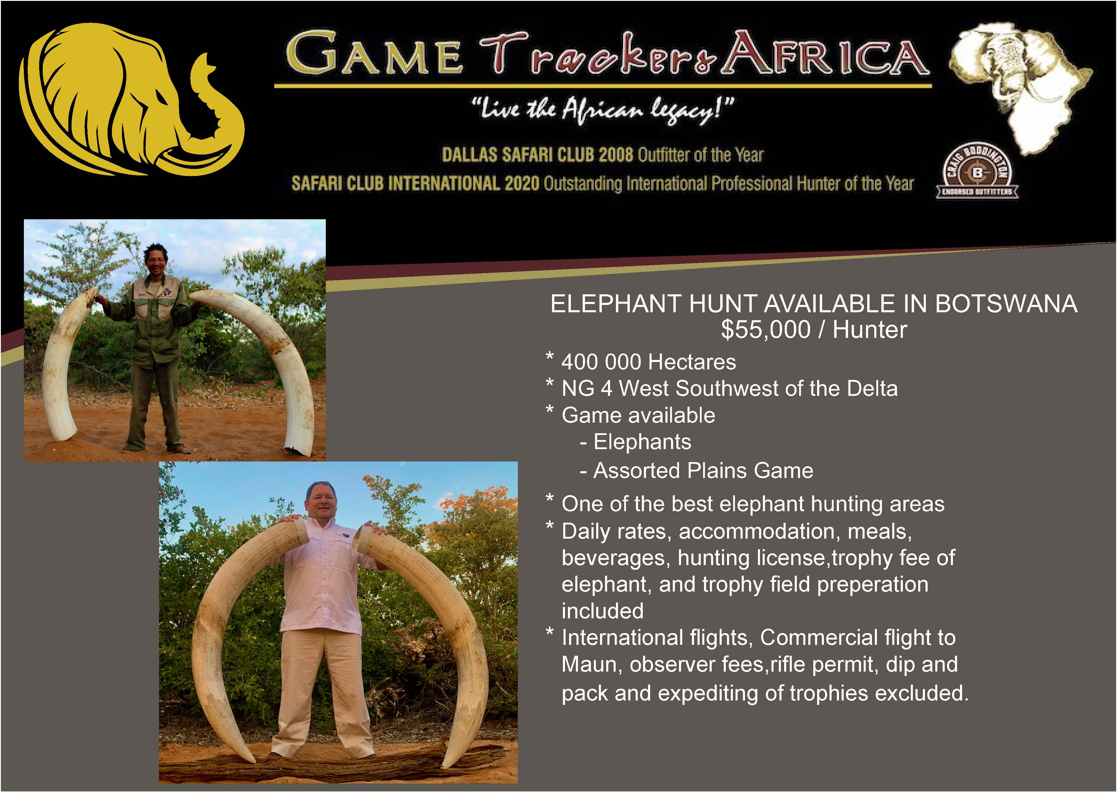 flyer elephant .jpg