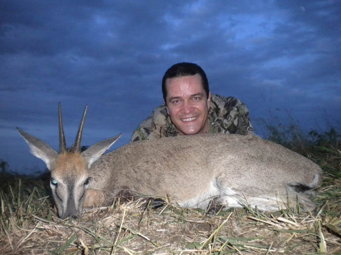 Free Range Mini 10 common duiker.png