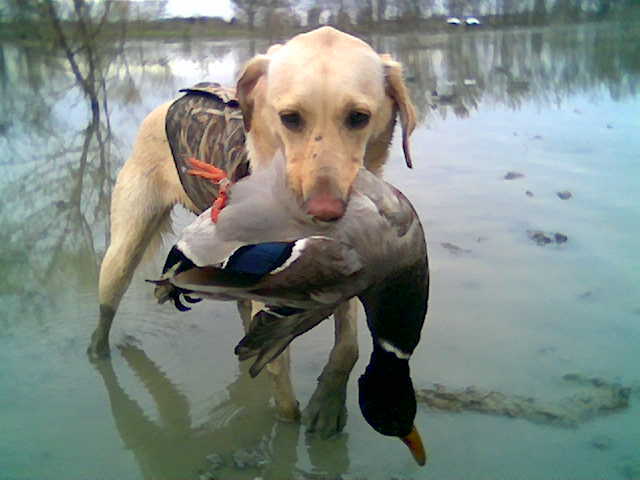 full-2250-344176-2007_hunting_season_04a.jpg