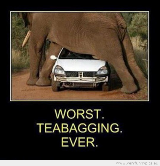 funny-picture-worst-teabagging-ever-540x560.jpg