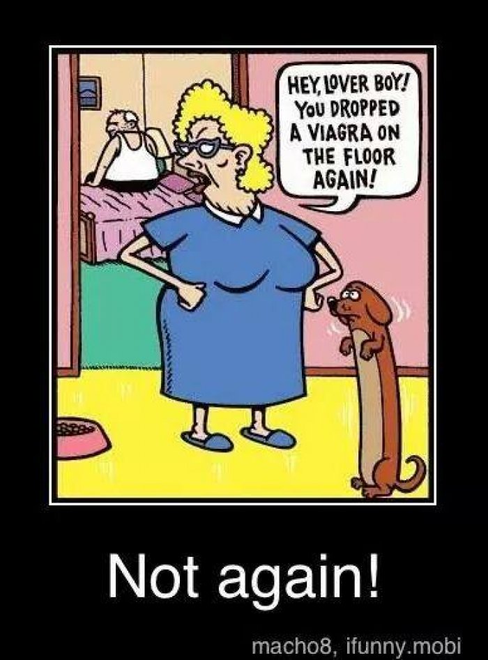 Funny-viagra-adult-cartoon.jpg