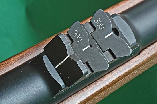 G1218-IRON-express-sights.jpg