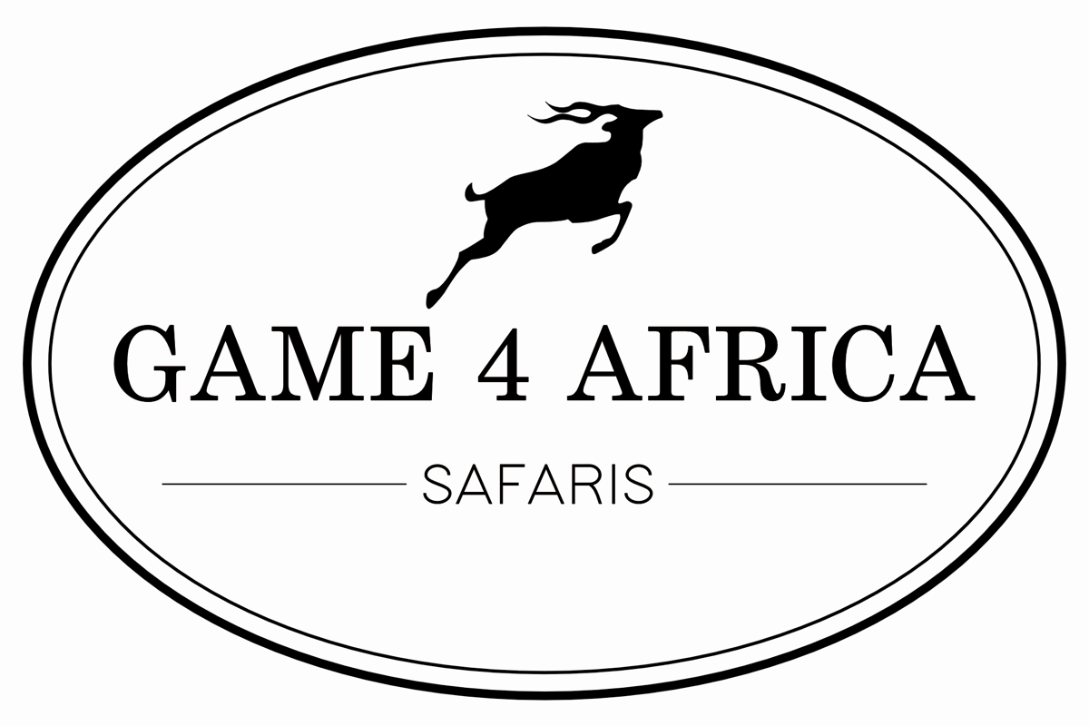 game-4-africa-01.jpg