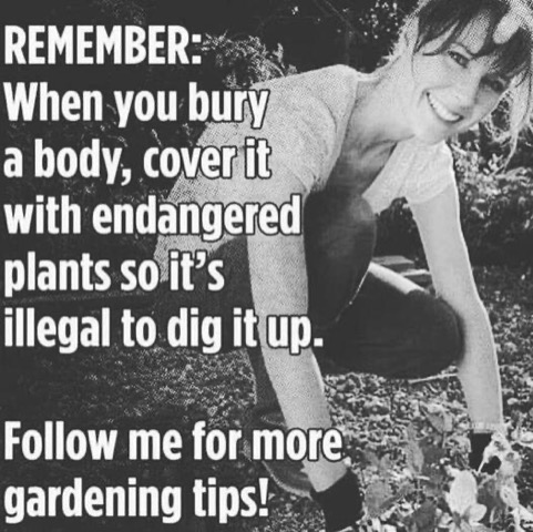 gardening_tips.jpeg