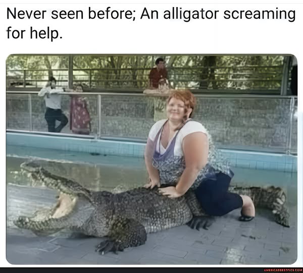 gator meme.jpg