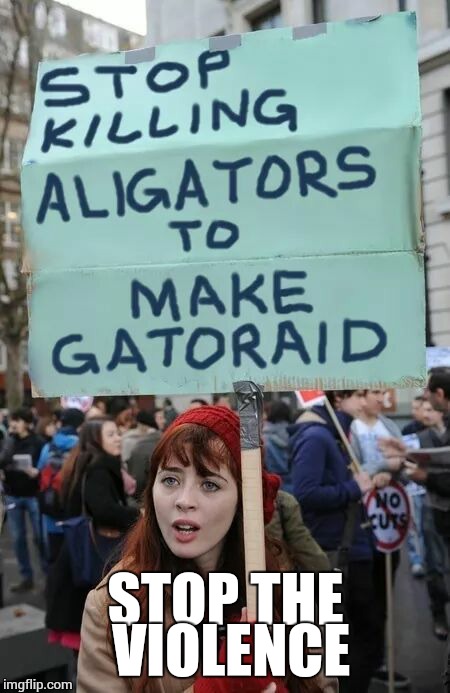 Gators.jpg