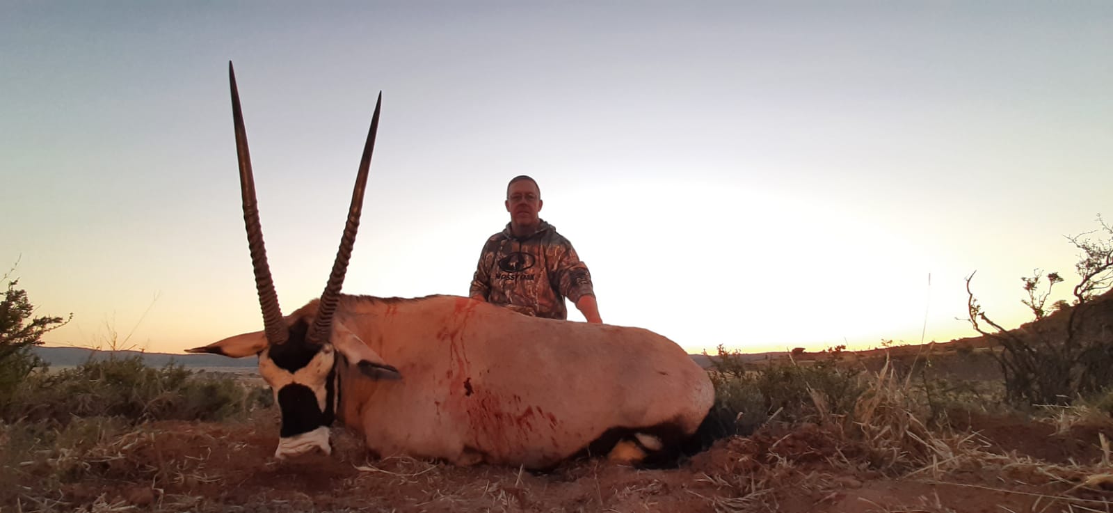 gemsbok.jpg