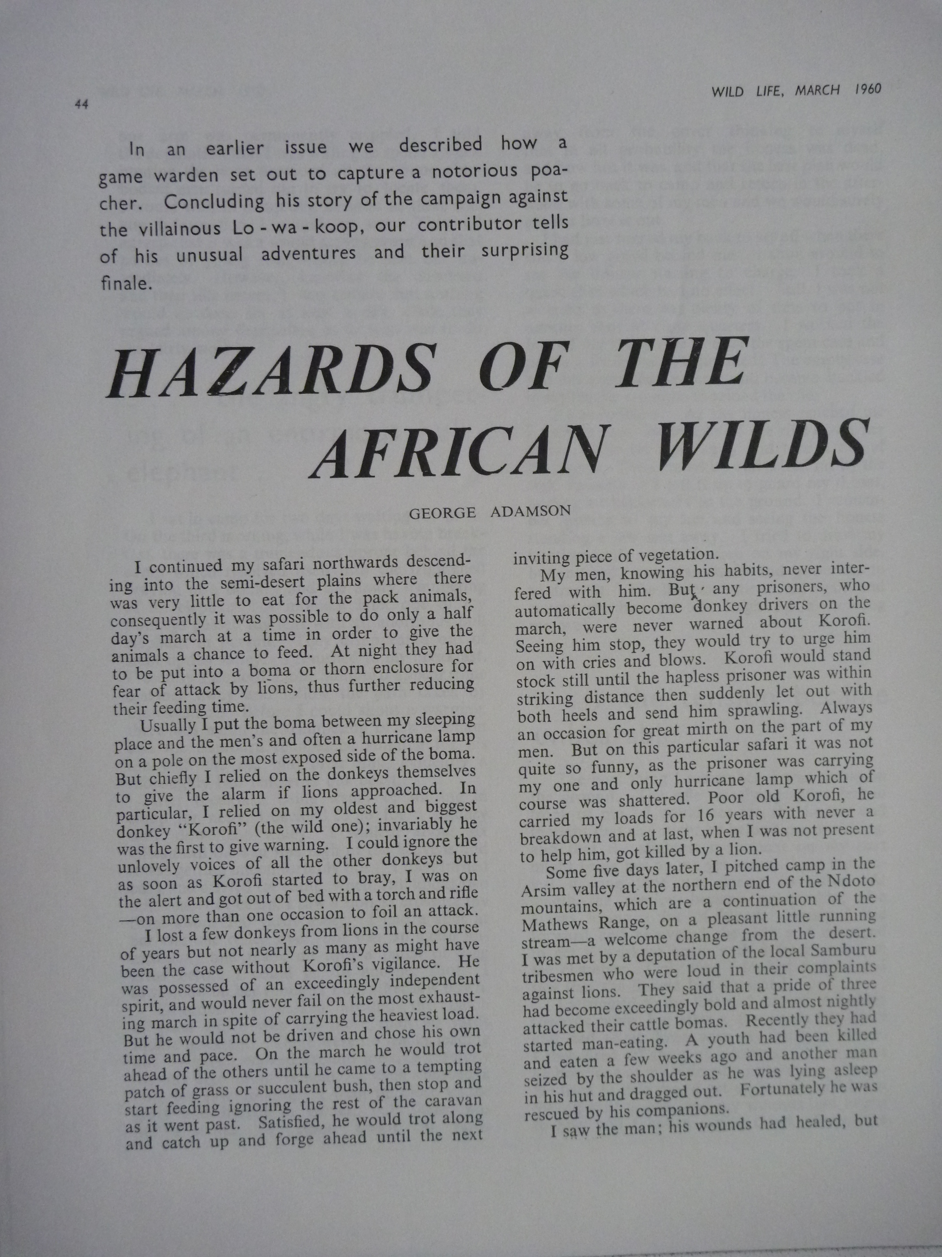 George Adamson Article #1.JPG