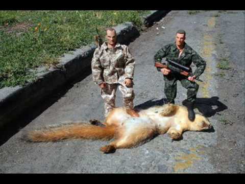 Giant squirrel!!'][0].jpg