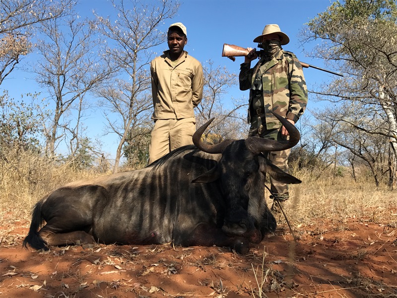 SOUTH AFRICA Hunting Limpopo Again AfricaHunting Com   Gnumenor2 Jpg.191319