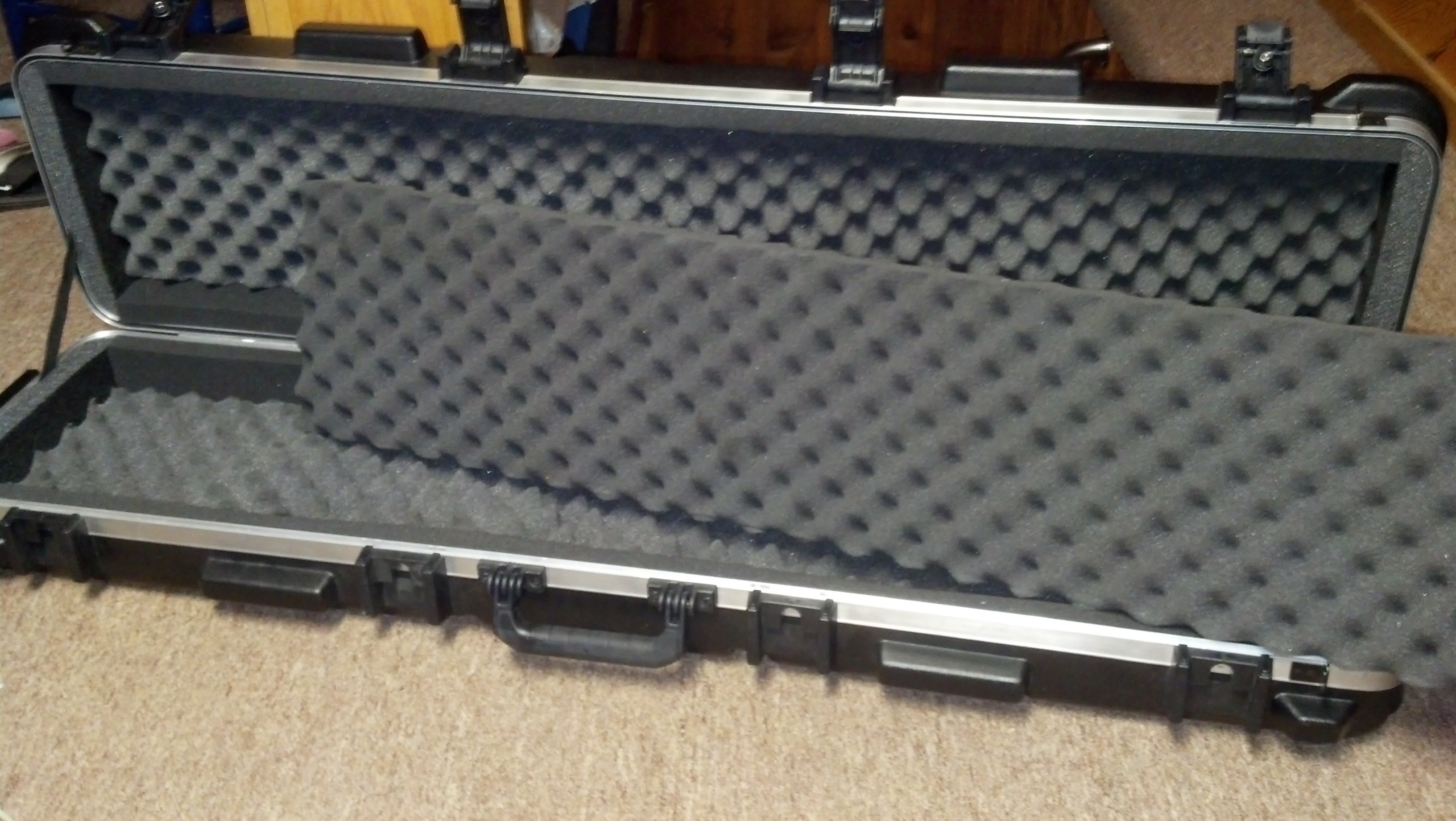 Gun Case, SKB double stack.jpg