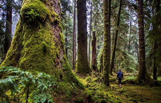 Haida Gwaii, British Columbia.3.jpg