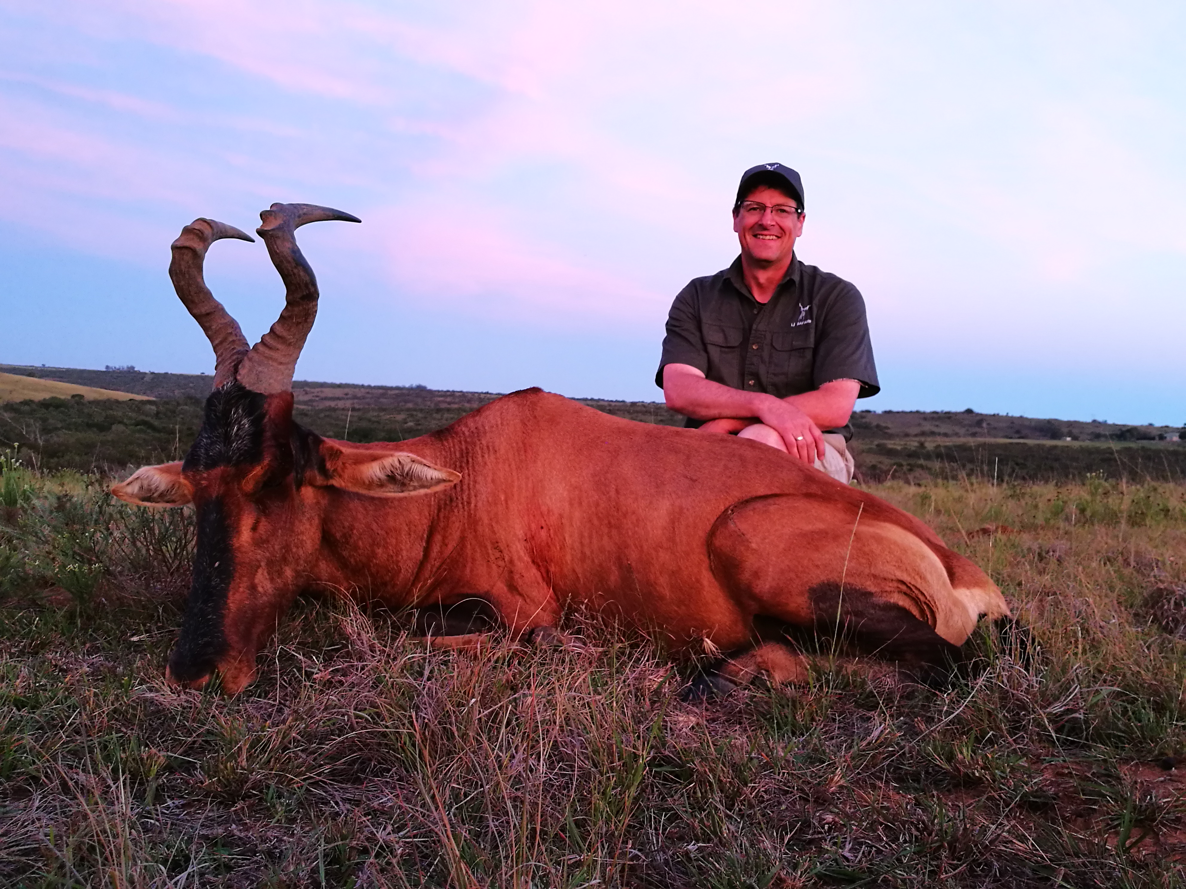 Hartebeest.jpg