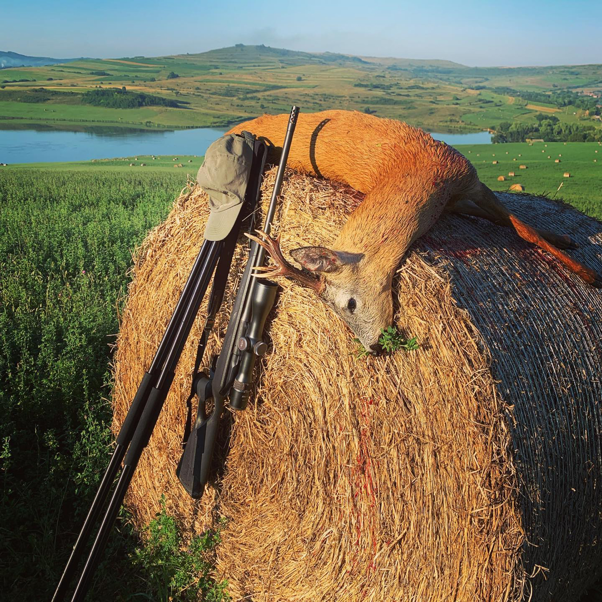 hunt-romania-04.jpg