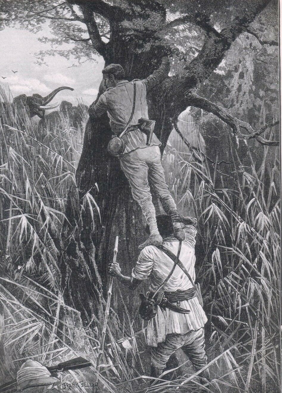 Hunting Elephants in Somaliland. 1903 Vintage.jpg