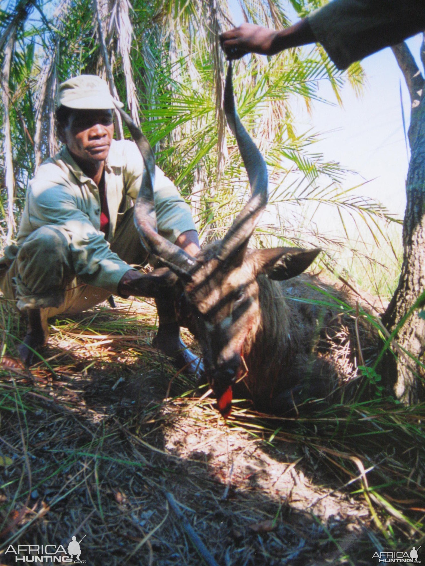 hunting-sitatunga1.jpg