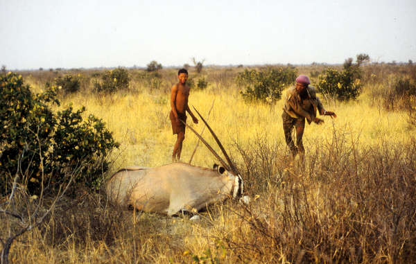 I-boscimani-faranno-causa-al-governo-del-Botswana.jpg