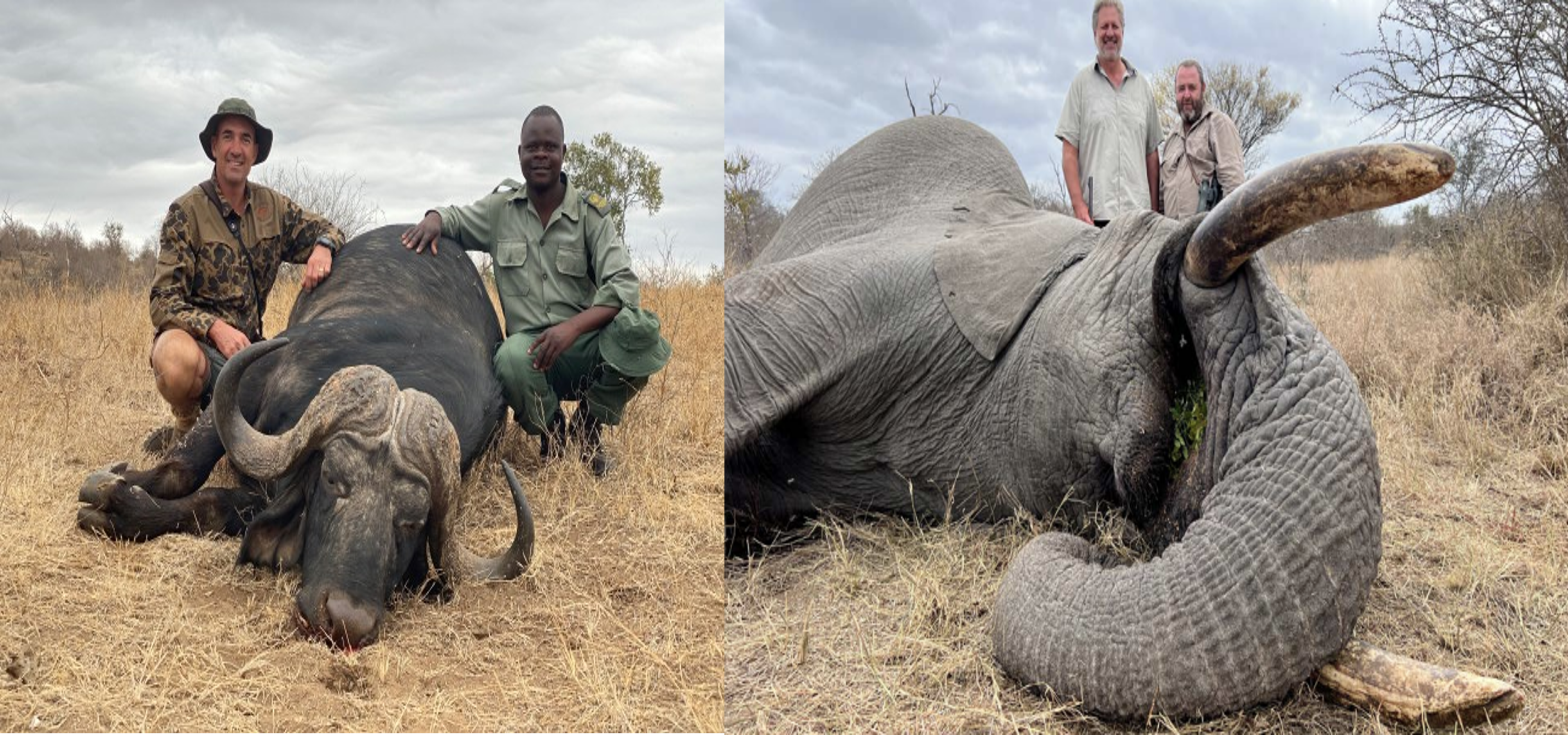 Image 4 Roelof (left – with Buffalo) and Jonty (Right – with Elephant) of Duke Safaris.png