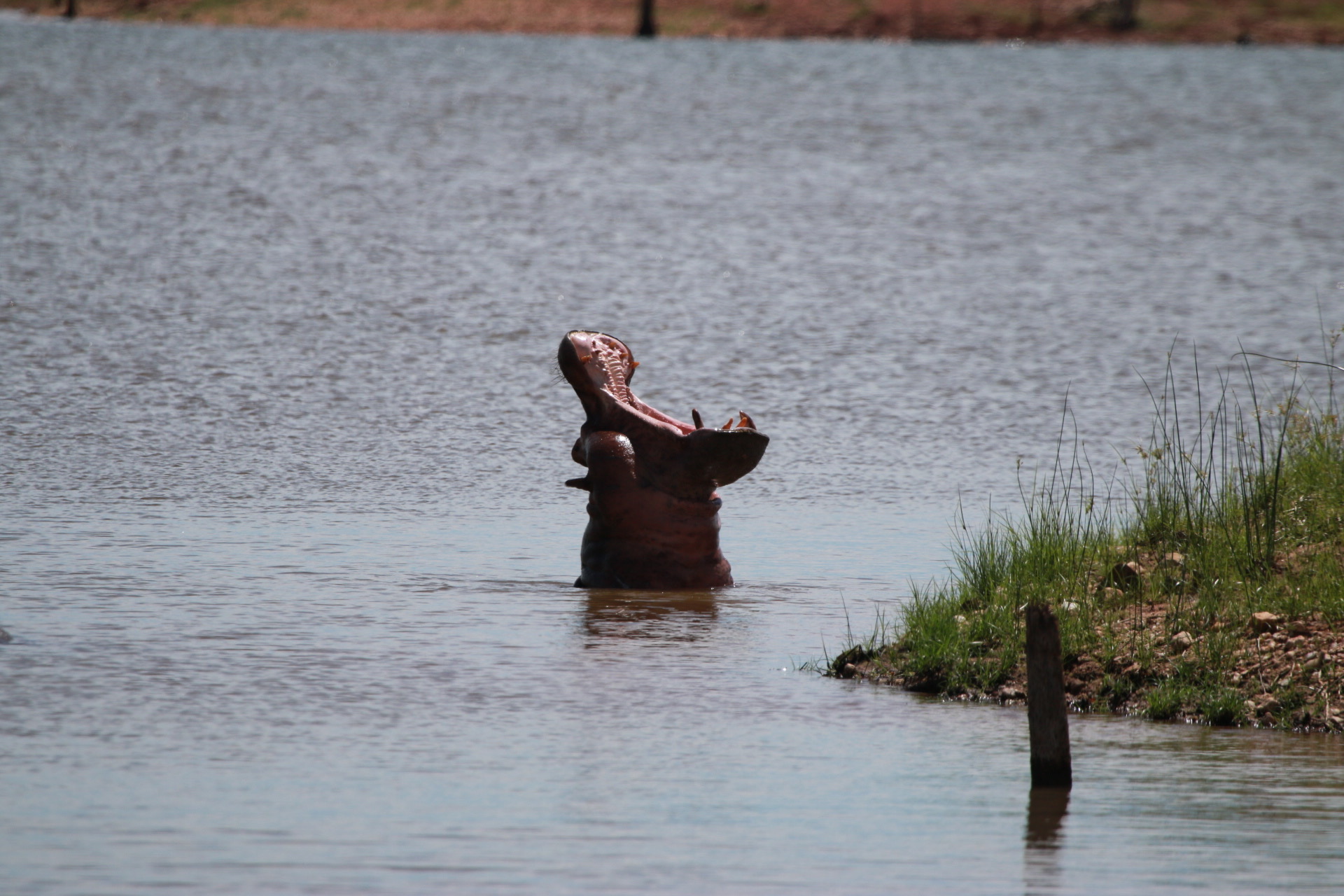 Lake Kariba Fishing Report (even if just look at the pictures ...