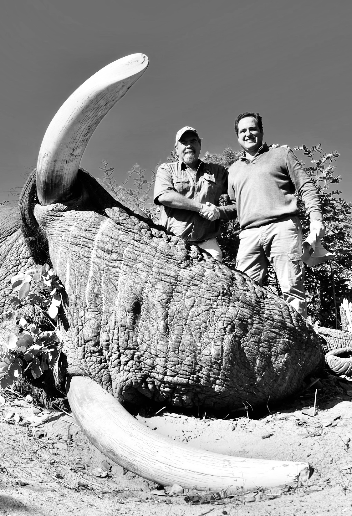 Taking Bookings For Elephant Hunt In Zimbabwe 2023 | AfricaHunting.com