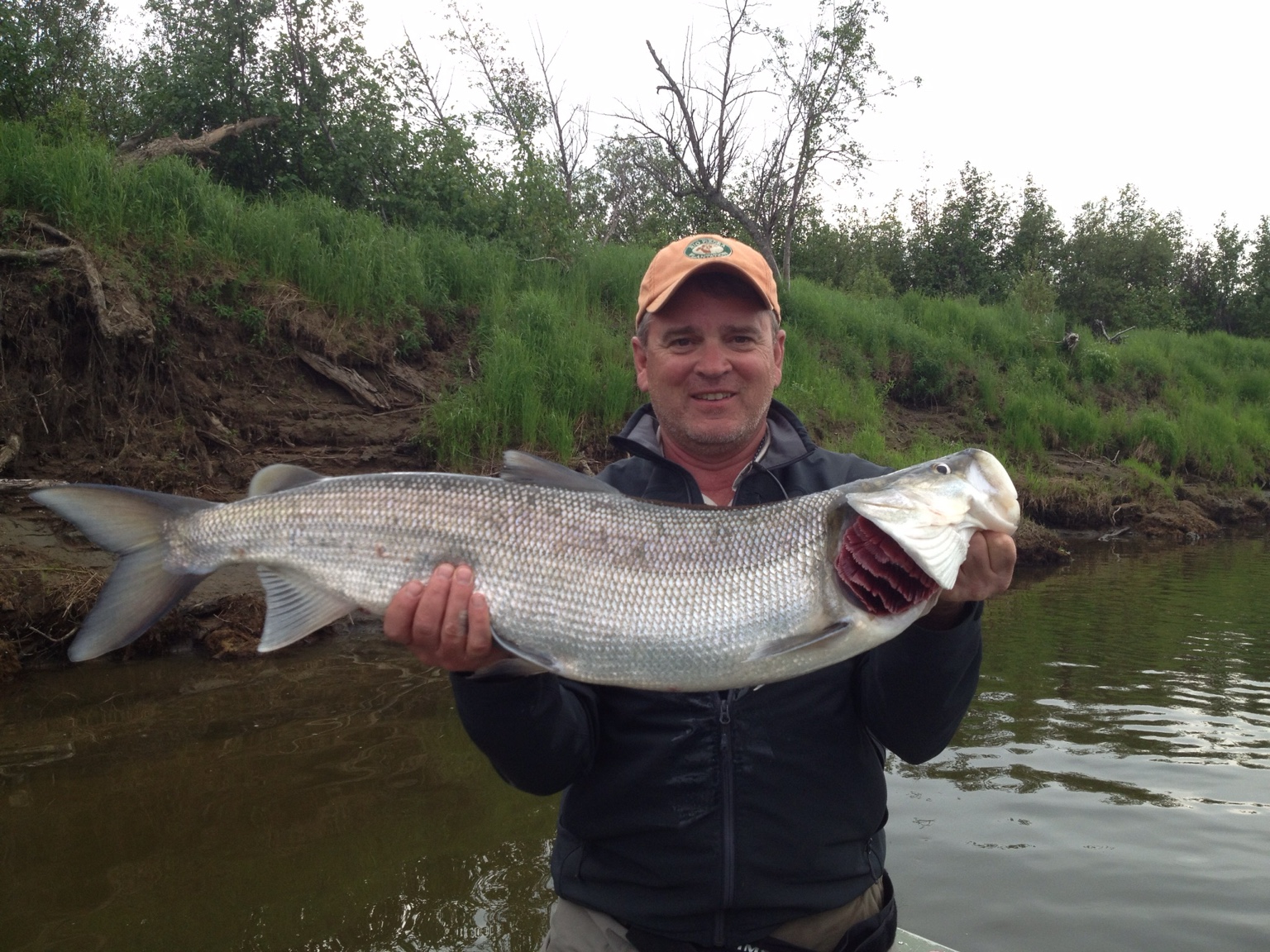 Rant) Grain weights  The North American Fly Fishing Forum