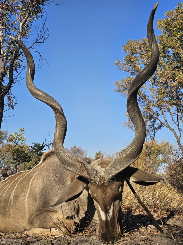 Caprivi Plains Game Trophy Package Hunt Caprivi Namibia | AfricaHunting.com