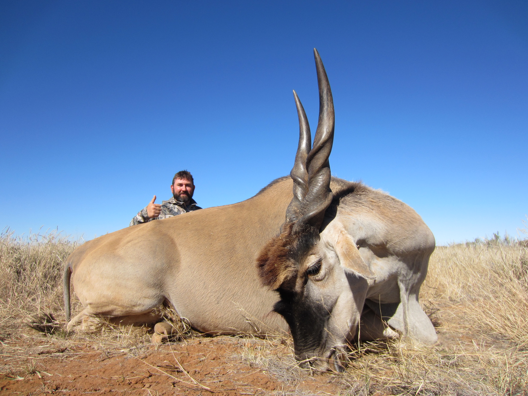 SOUTH AFRICA: Reasons To Hunt With Magersfontein Safaris ...