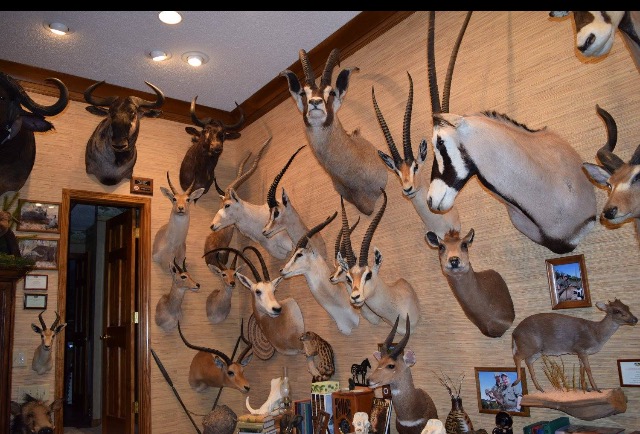 African Trophy Room Items | AfricaHunting.com