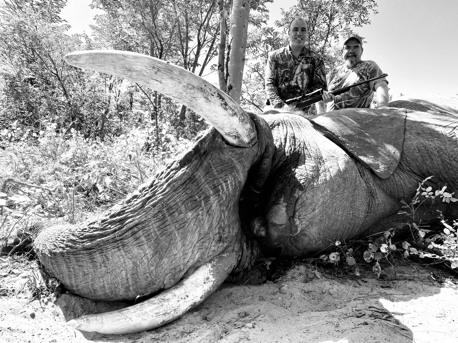 Taking Bookings For Elephant Hunt In Zimbabwe 2023 | AfricaHunting.com