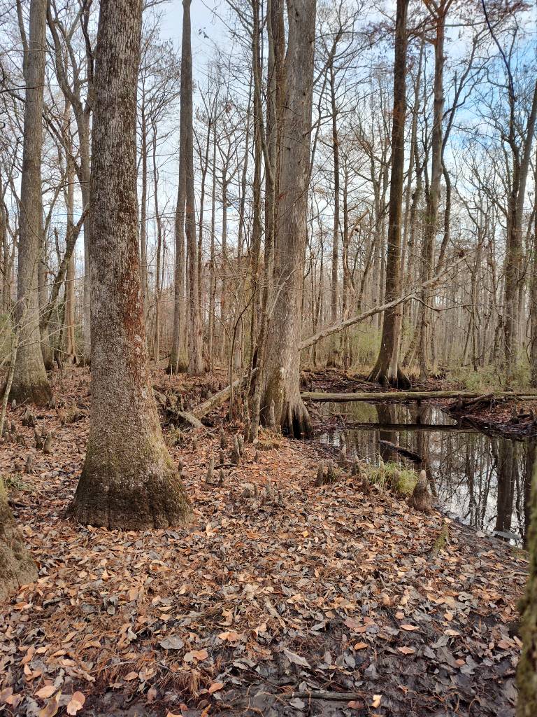 IMG_20221209_080247709_HDR.jpg