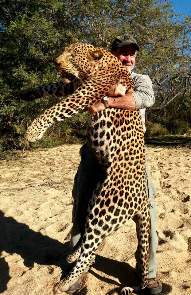 Leopard Hunt Zimbabwe One Tag Left For 2017 Zimbabwe | AfricaHunting.com