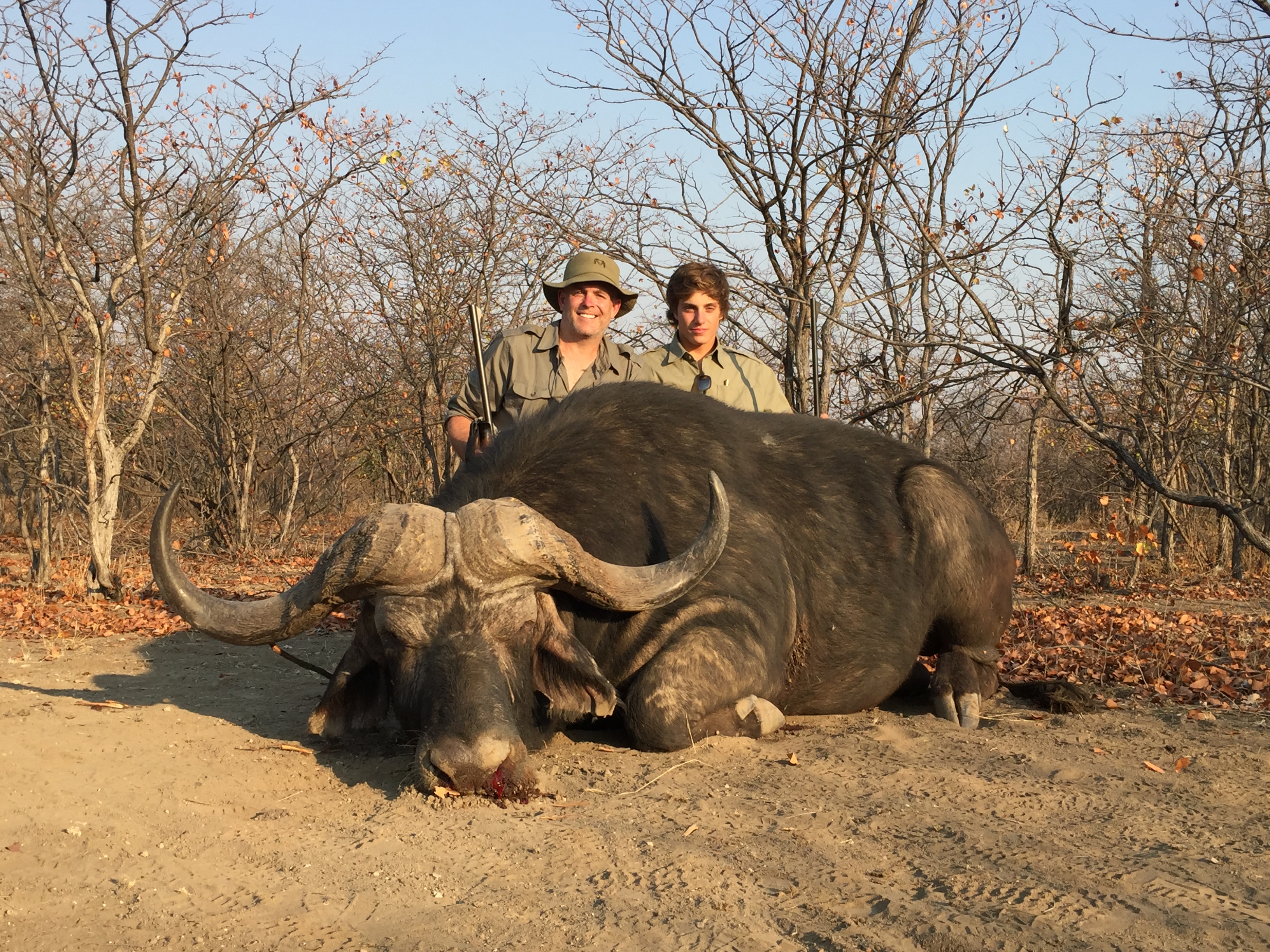 Buffalo Hunt Zimbabwe 7 Days | AfricaHunting.com