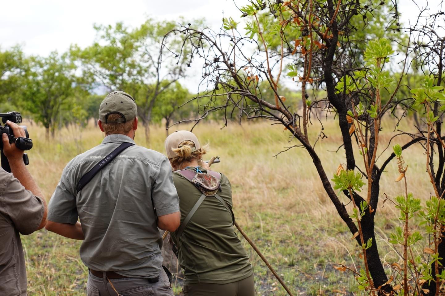 MOZAMBIQUE: Niassa Reserve Block R3 (Cabassa Safaris - October 2021 ...