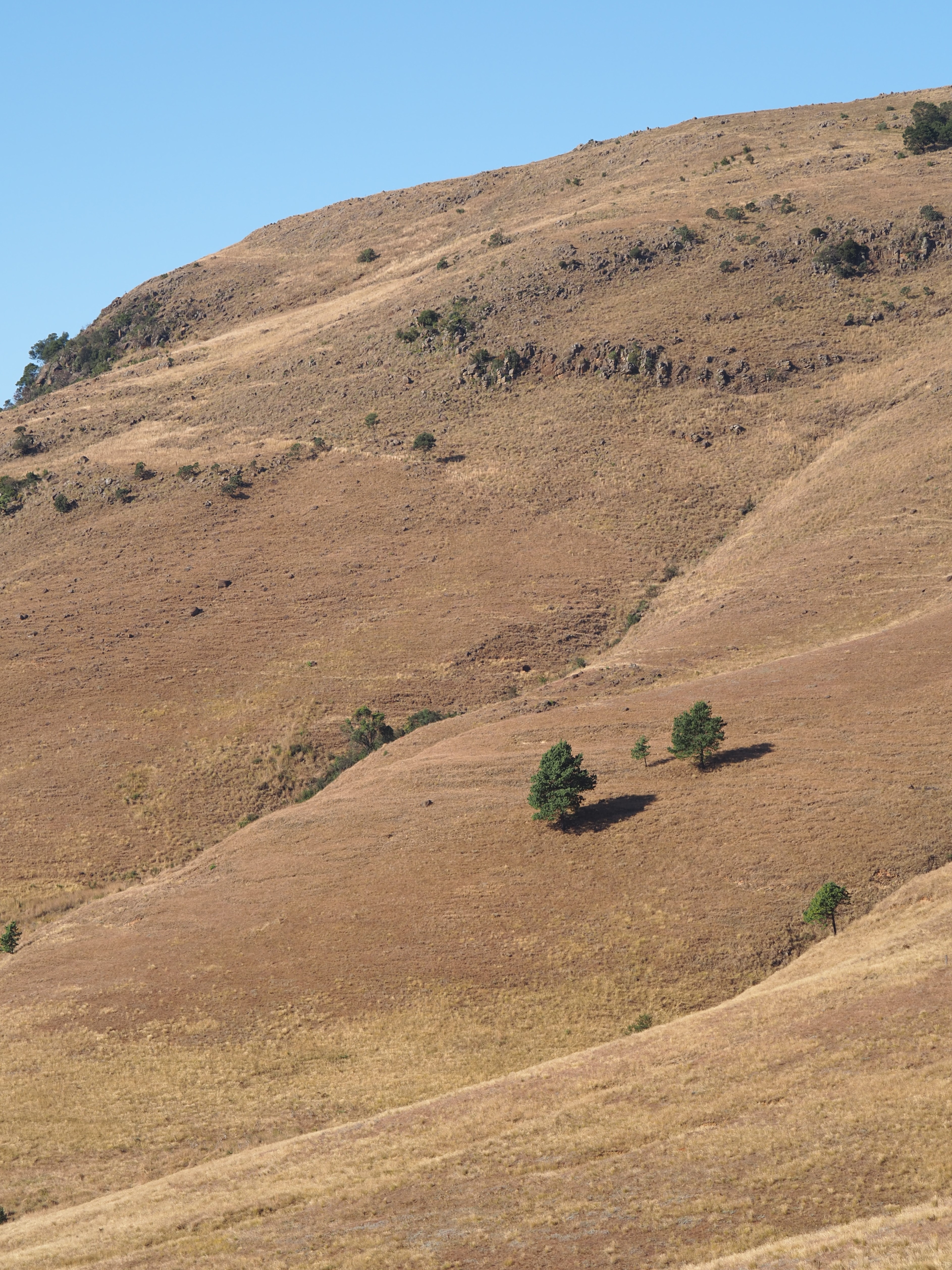 IMG_6161 View of the hill we descended.JPG