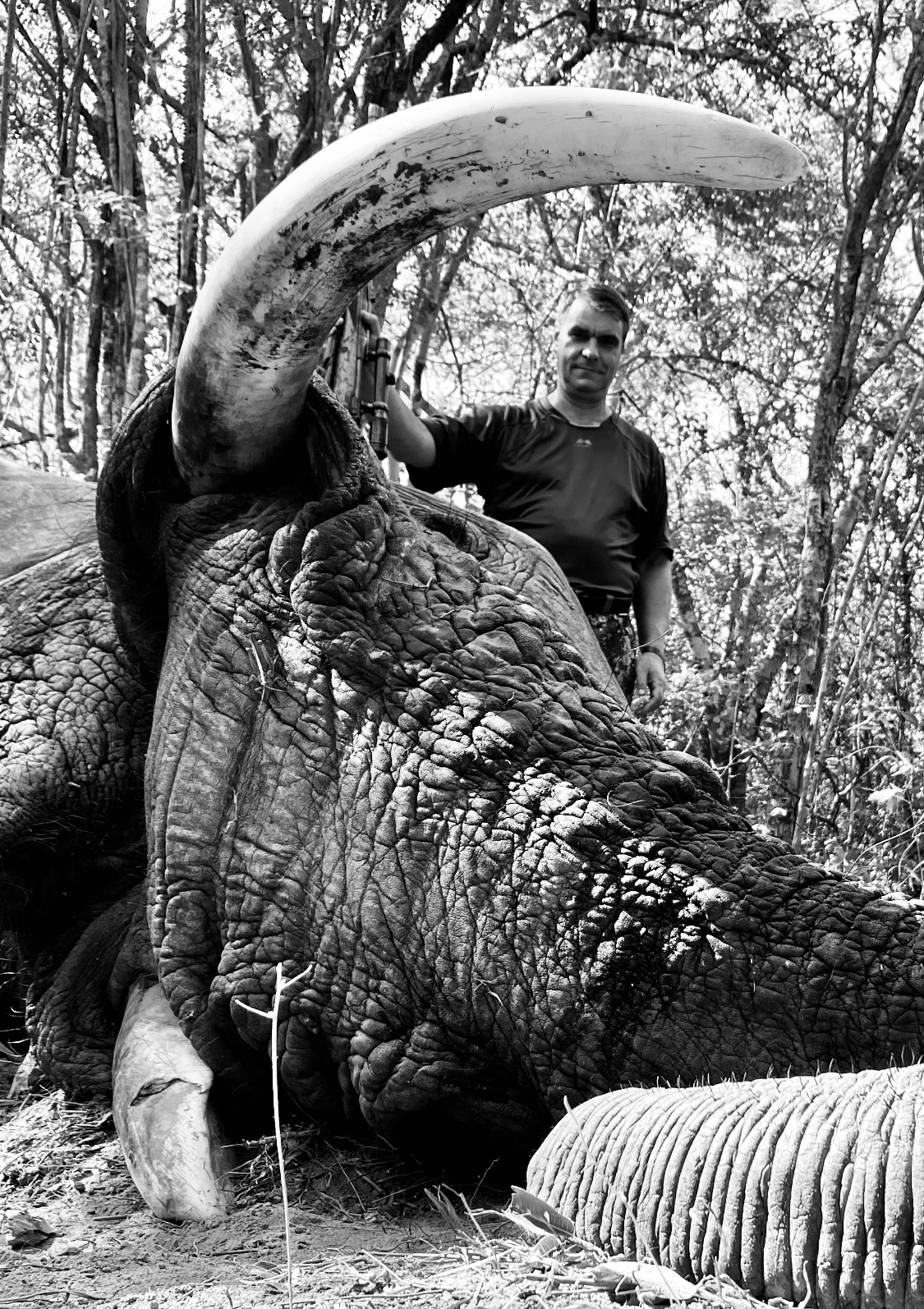 Taking Bookings For Elephant Hunt In Zimbabwe 2023 | AfricaHunting.com