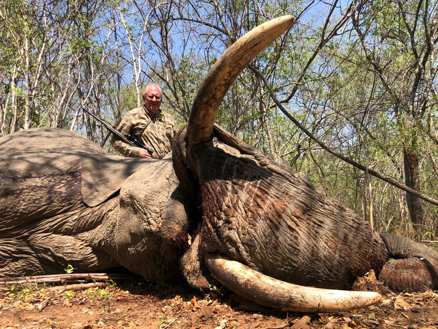 Elephant & Leopard Hunts Available 2021 | AfricaHunting.com