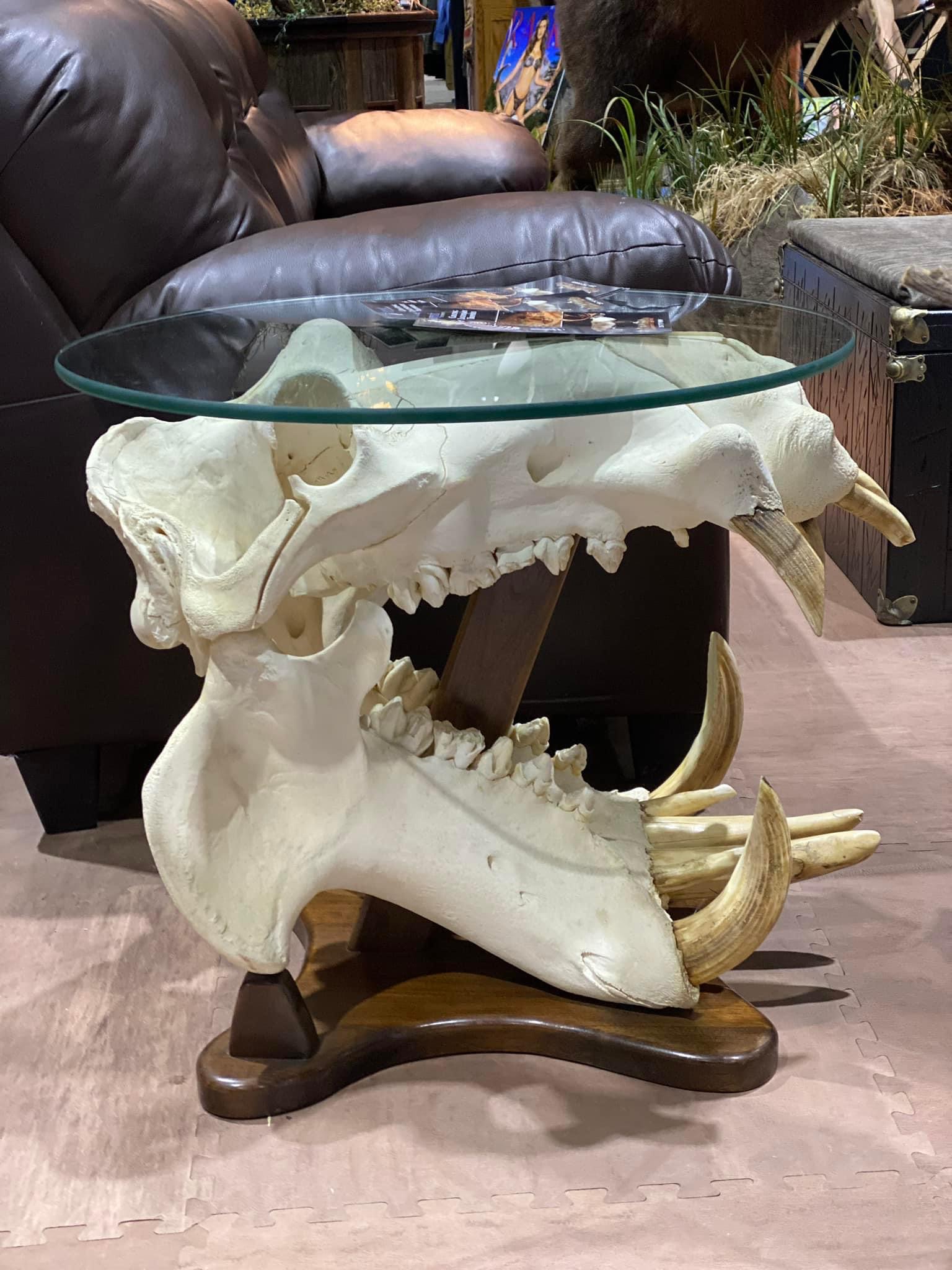 Hippo Mount | AfricaHunting.com