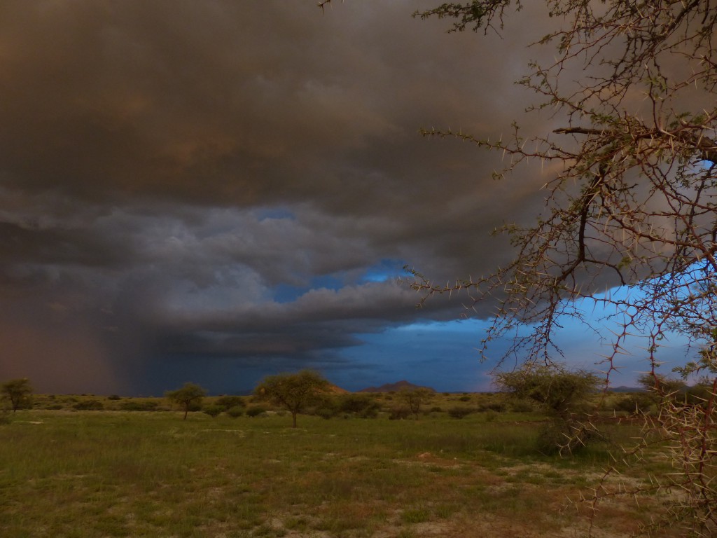 Jaeger-Namibia-incoming-storm-1024x768.jpg