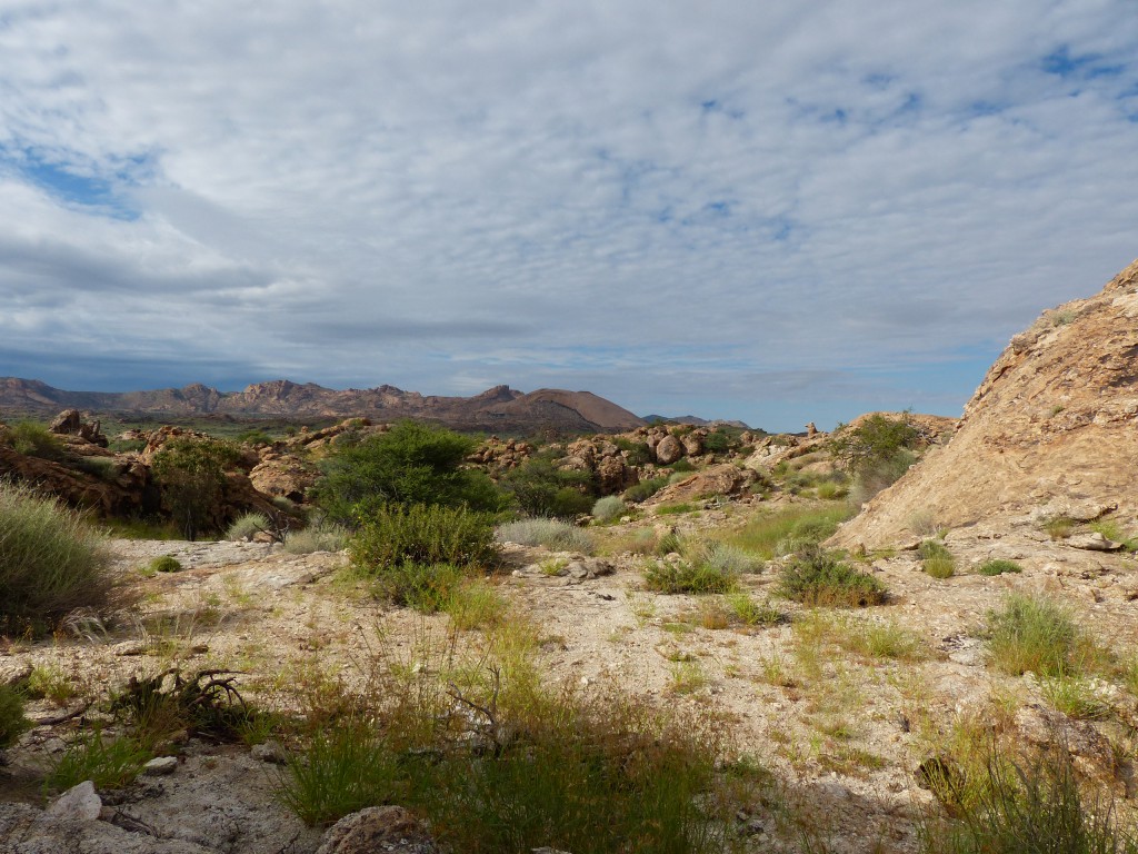 Jaeger-Namibia-landscape-4-1024x768.jpg