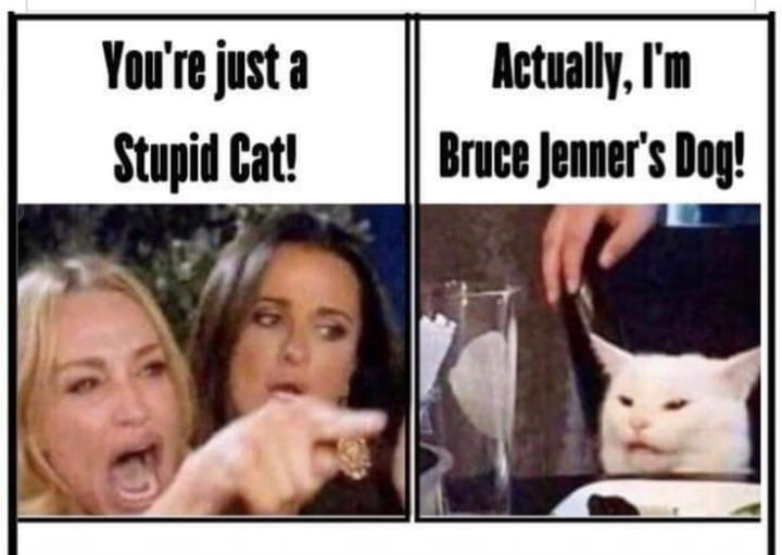 jenners dog meme.jpg