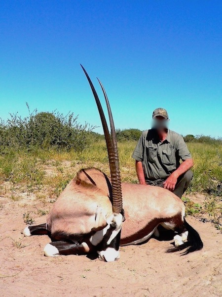 Kalahari gemsbok s 2.jpg