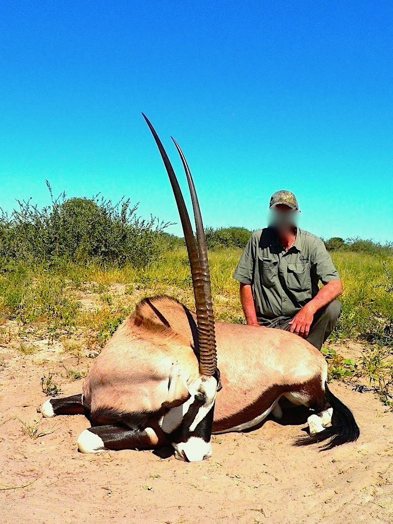 Kalahari gemsbok s 3.jpg