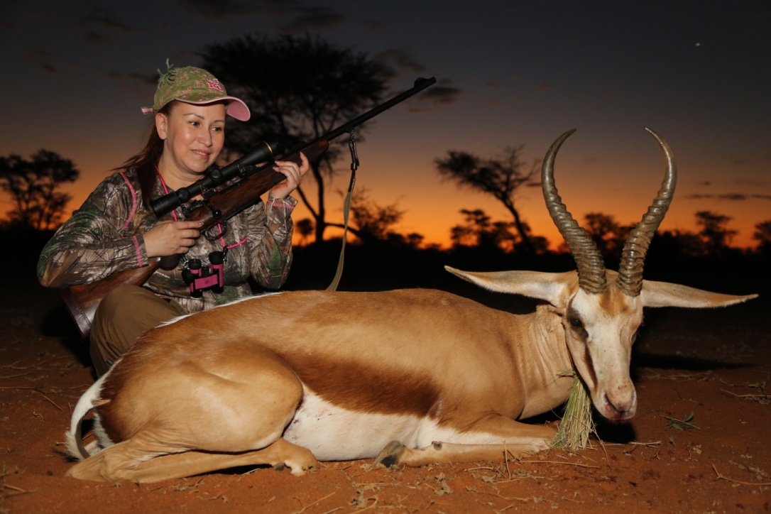 Kalahari Springbok2.jpg