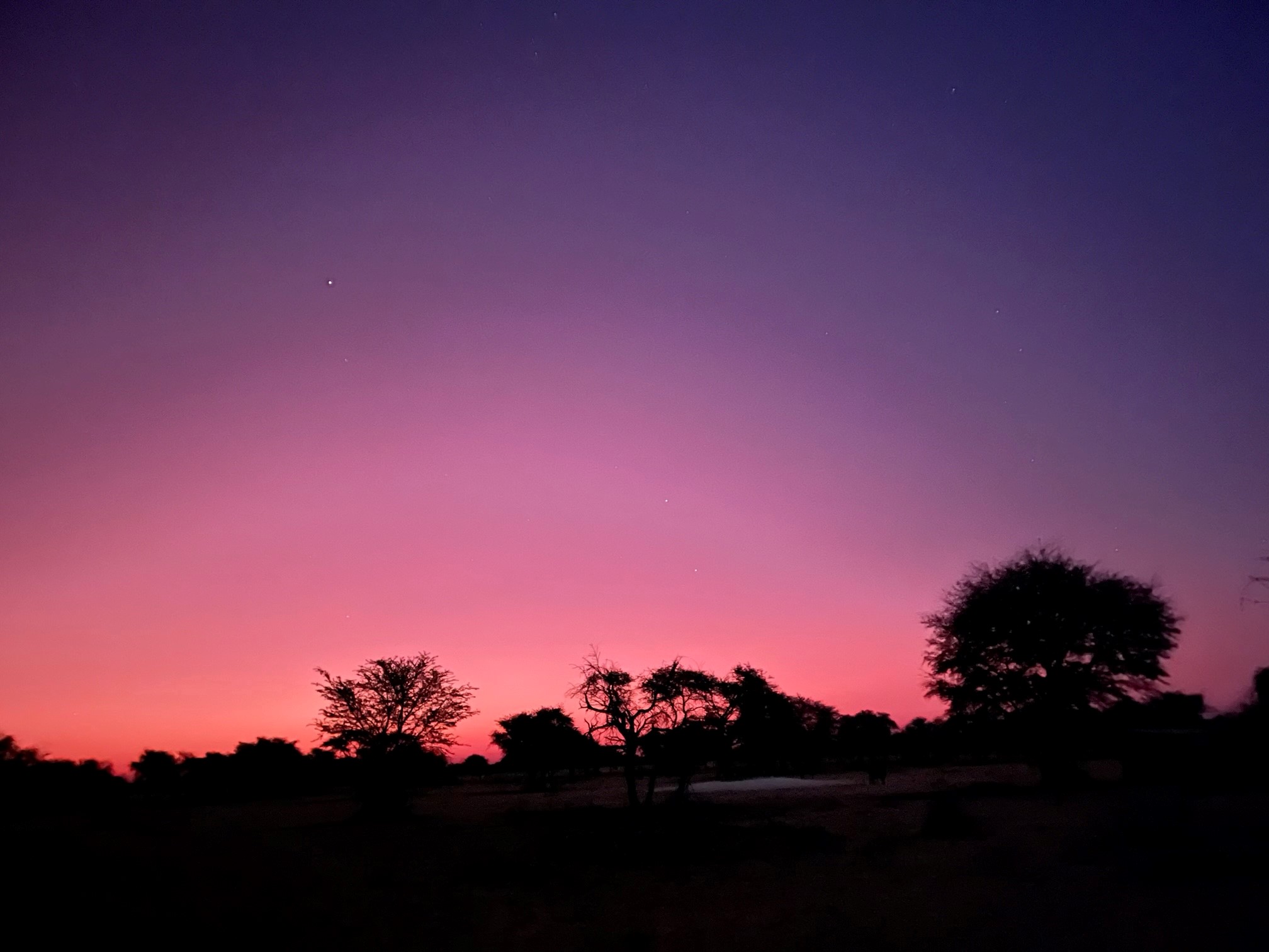 KALAHARI SUNSET.jpg