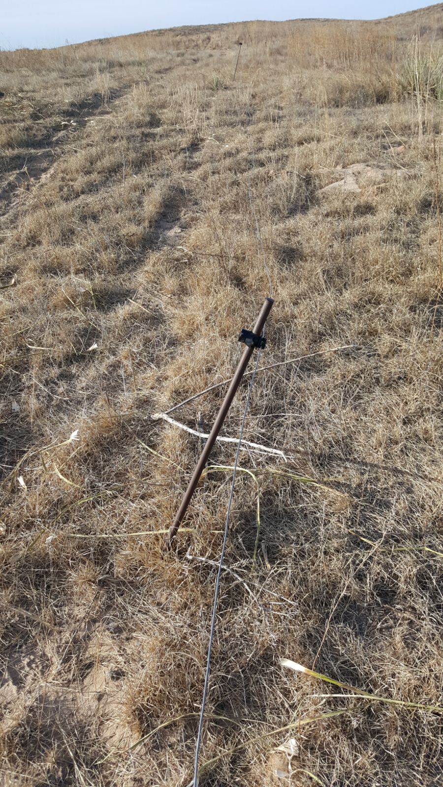 Kansas Fence.jpg